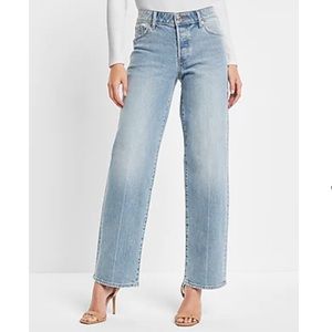 Express Low Rise Light Wash Baggy Straight Jeans